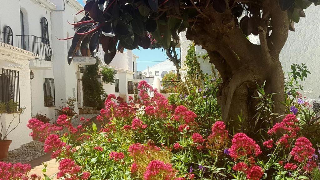Apartamento Capistrano Village Nerja Extérieur photo